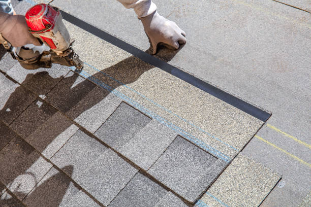 Best Solar Panel Roofing Installation  in St Cloud, MN